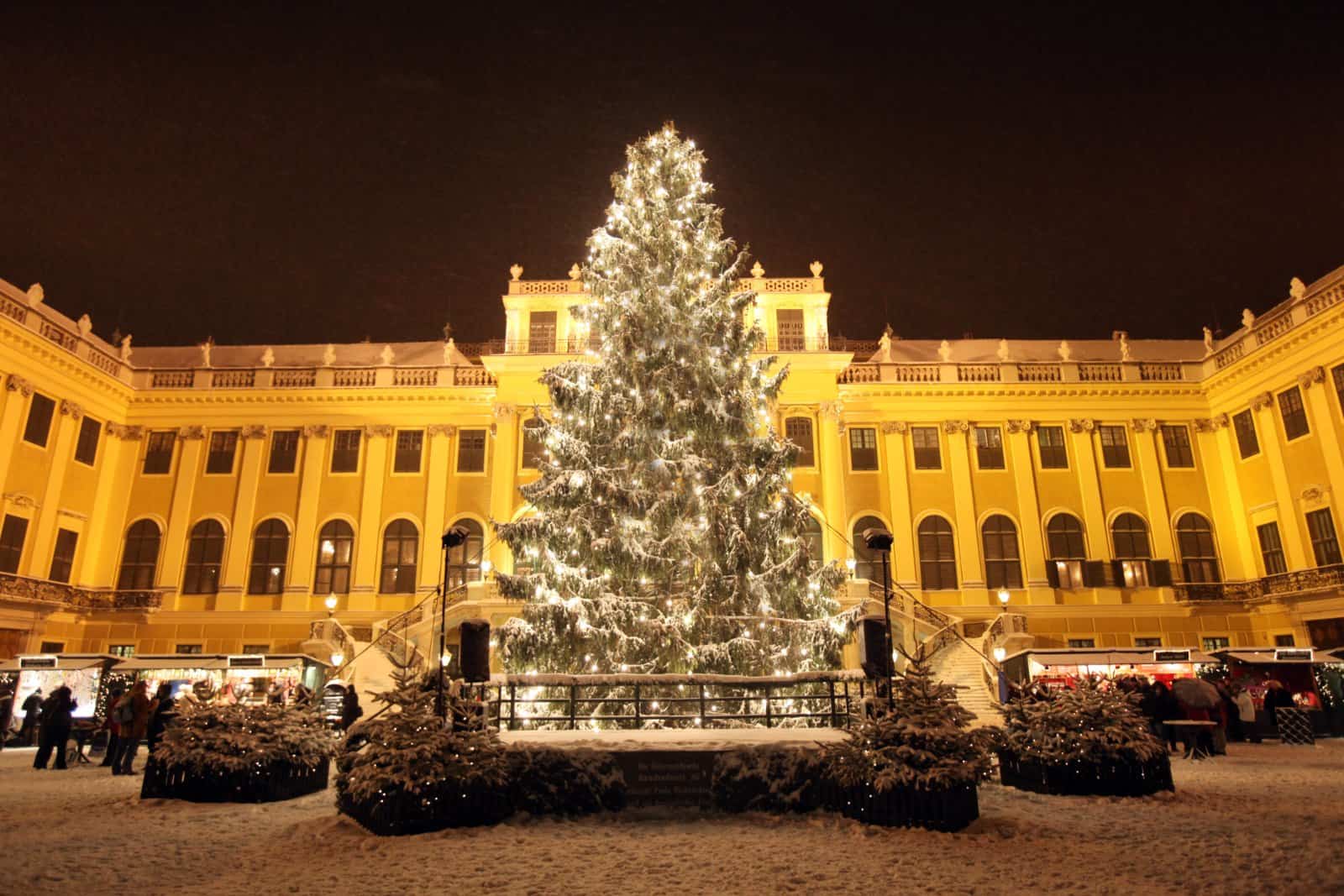 Beleuchtetes Schloss Schönbrunn mit großem Christbaum und Weihnachtsmarkt davor